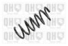 FIAT 50703767 Coil Spring